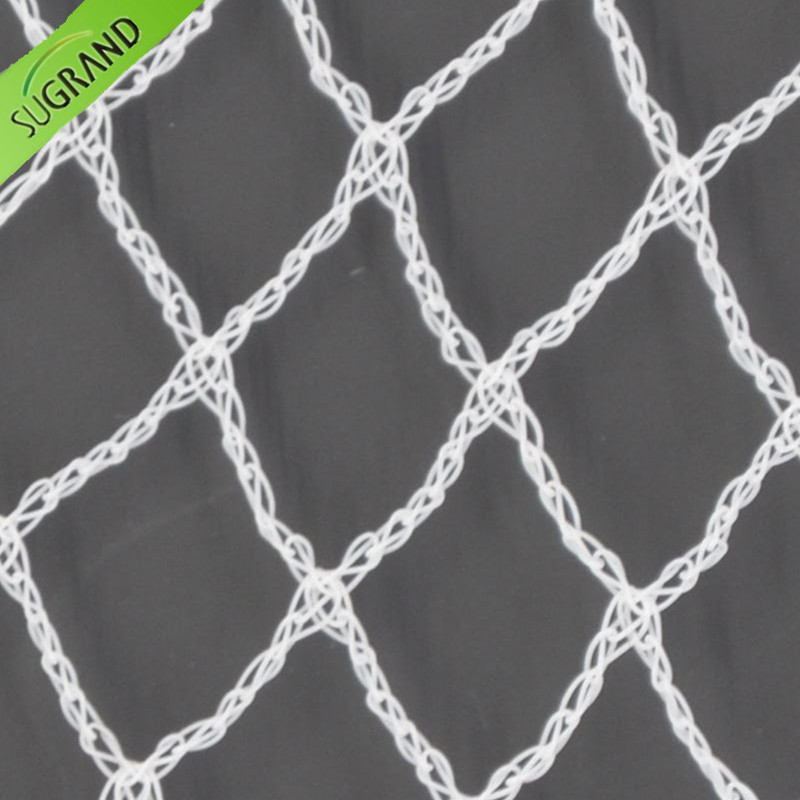 anti bird net רשת נגד ציפורים