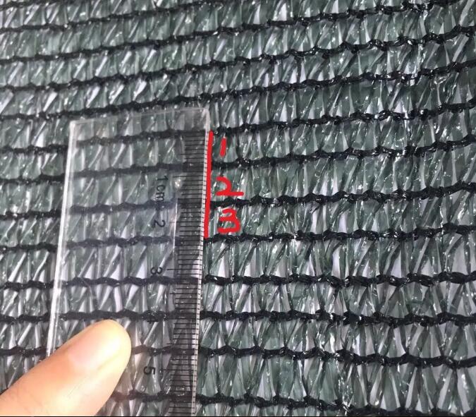 olive net17 רשת זית17