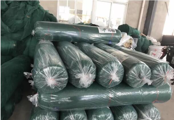 olive net7 רשת זית 7