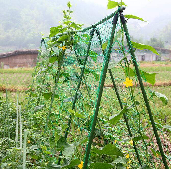 Nylon-Trellis-Netting-Plant-Support-for-Climbing-Plants-Vine-and-Veggie-Trellis-Net-2-95Ft-x ניילון-טרליס-רשת-צמח-תמיכה-לצמחי טיפוס-גפן-ו-Veggie-Trellis-Net-2-95Ft-x