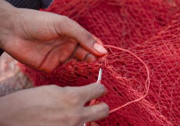 shade net רשת צל