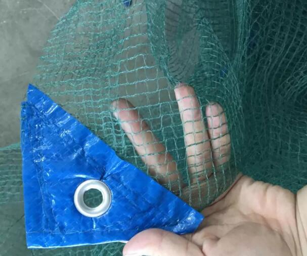 olive net10 רשת זית10