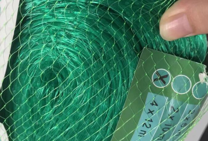 bird net2 רשת ציפורים2