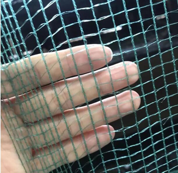 olive net8 רשת זית8