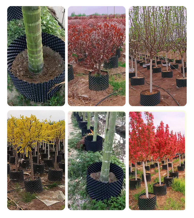 Root Controlling Pot סיר שליטת שורש