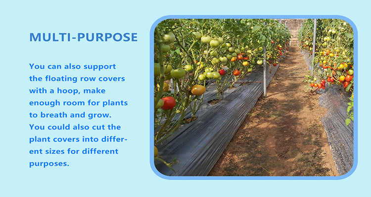 mulch film (8) סרט מאלץ' (8)