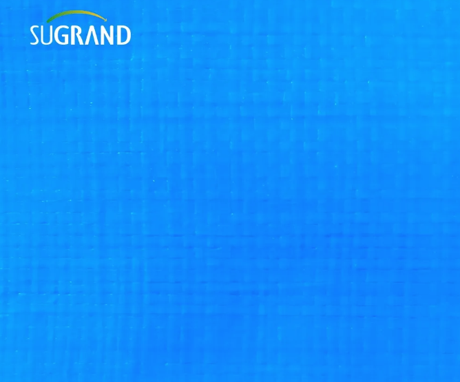 Tarpaulin בּרֶזֶנט