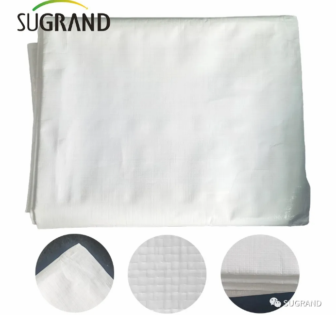 Tarpaulin בּרֶזֶנט