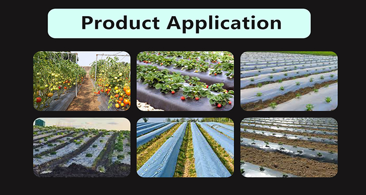 mulch film (2) סרט מאלץ' (2)