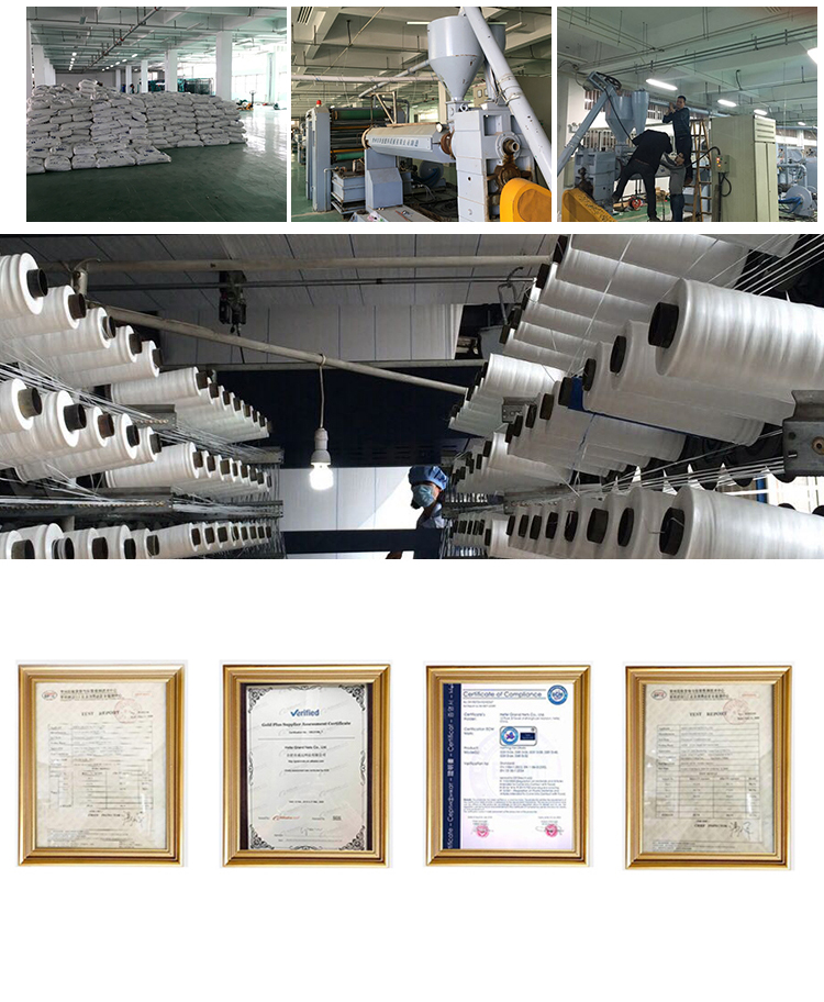 flower net20 רשת פרחים20