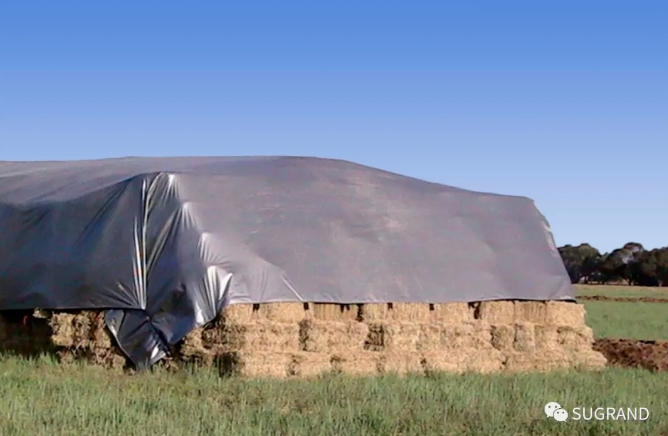 Tarpaulin בּרֶזֶנט