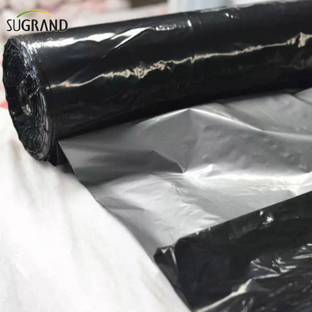 agriculture plastic mulch film פלסטיק סרטים