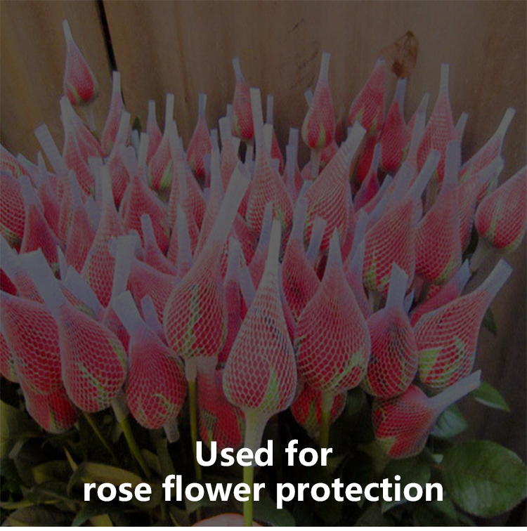 flower net15 רשת פרחים15