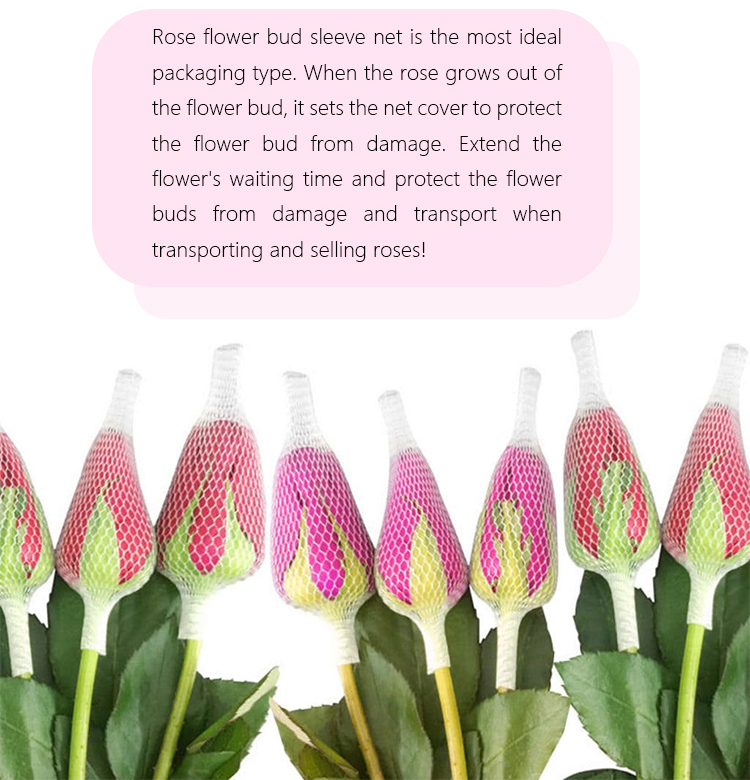 flower net3 רשת פרחים 3