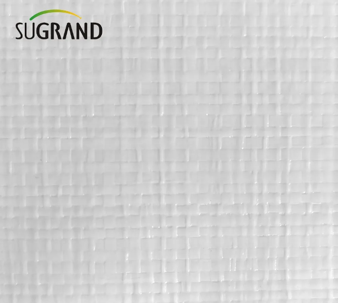 Tarpaulin בּרֶזֶנט