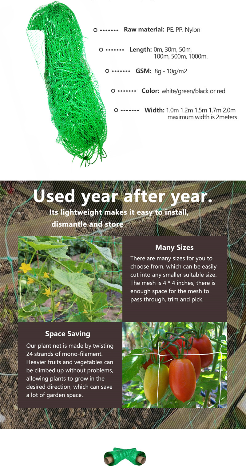 plant support net 2 רשת תמיכה לצמח 2