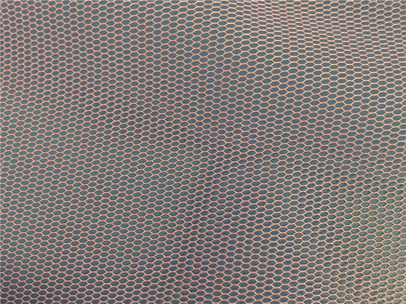 mosquito net (6) כילה נגד יתושים (6)