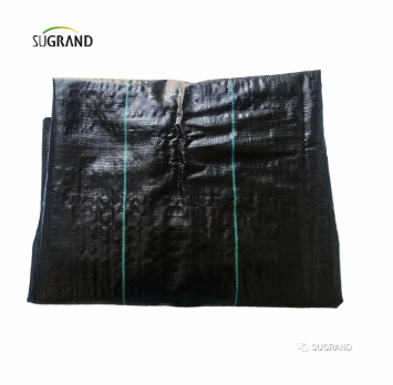 ground cover כיסוי קרקע