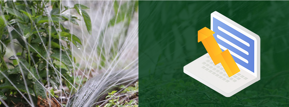 Drip Irrigation6 השקיה בטפטוף 6