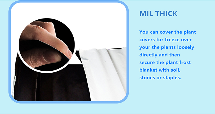 mulch film (7) סרט מאלץ' (7)