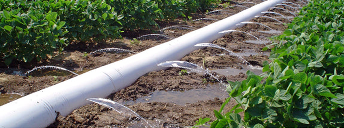 Drip Irrigation3 השקיה בטפטוף 3