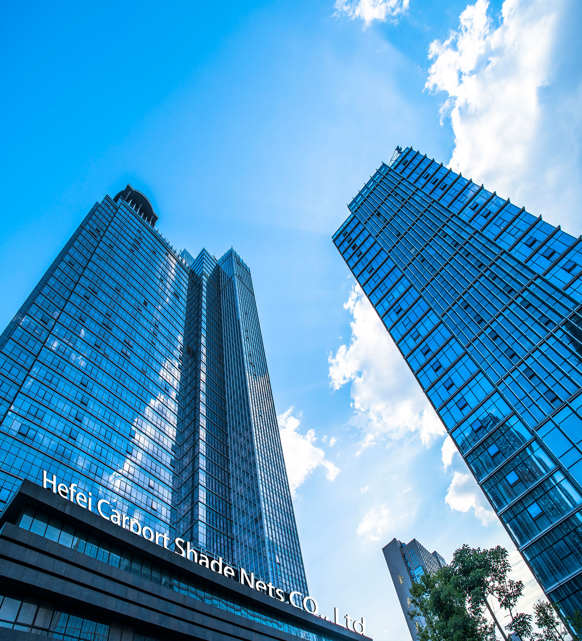 warning net12 רשת אזהרה12