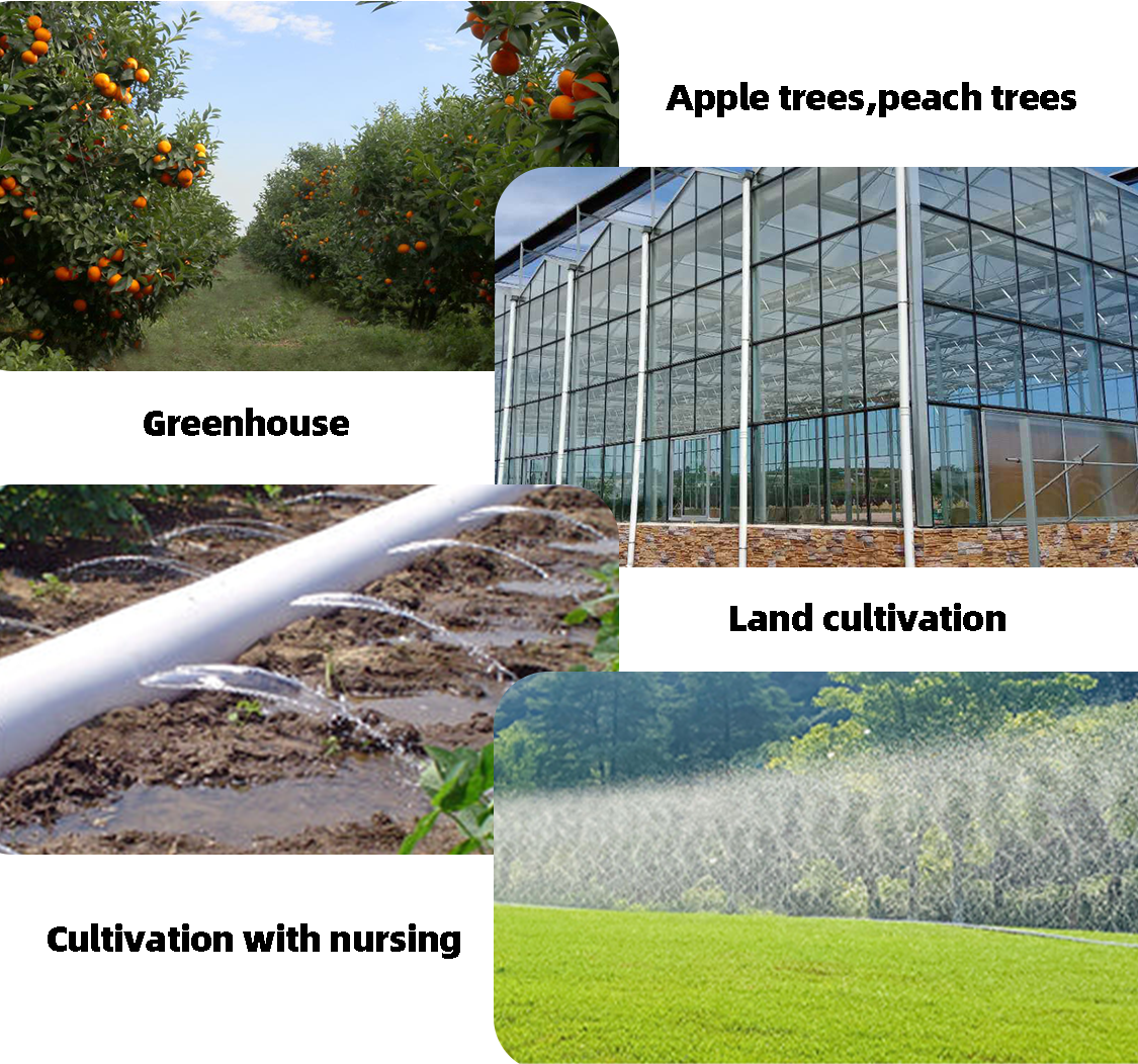 Drip Irrigation9 השקיה בטפטוף 9