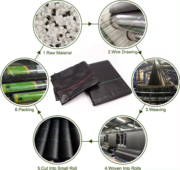 ground cover bulk תפזורת כיסוי קרקע