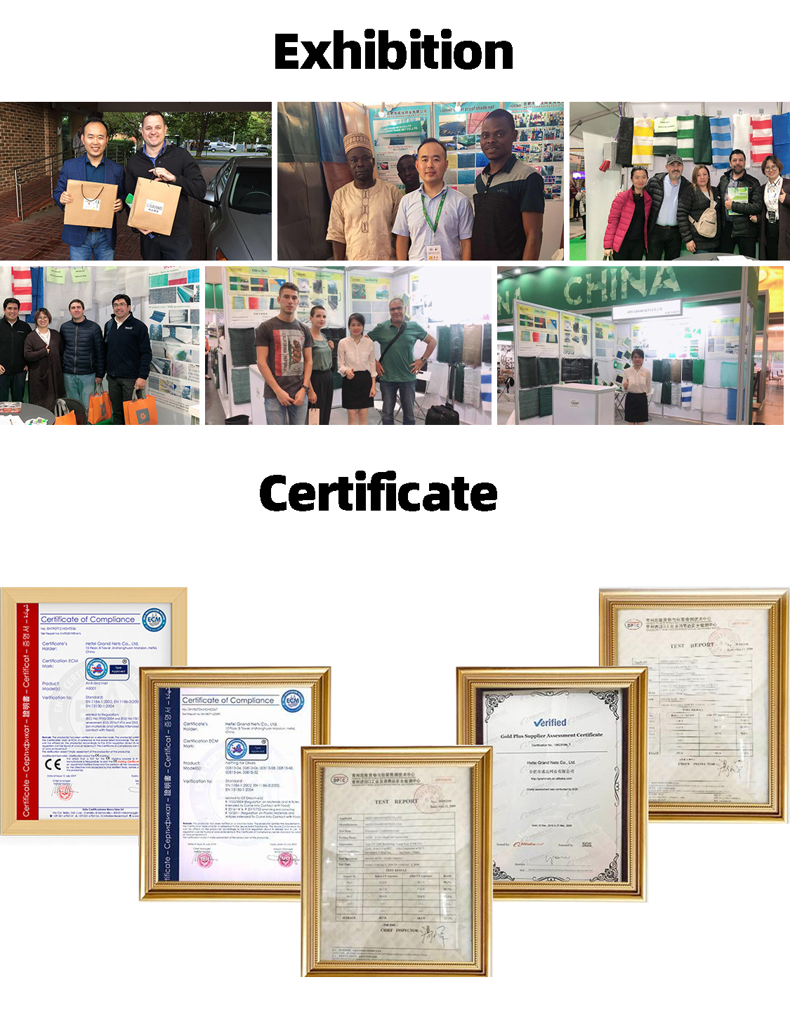 Artificial Leaves5 עלים מלאכותיים 5