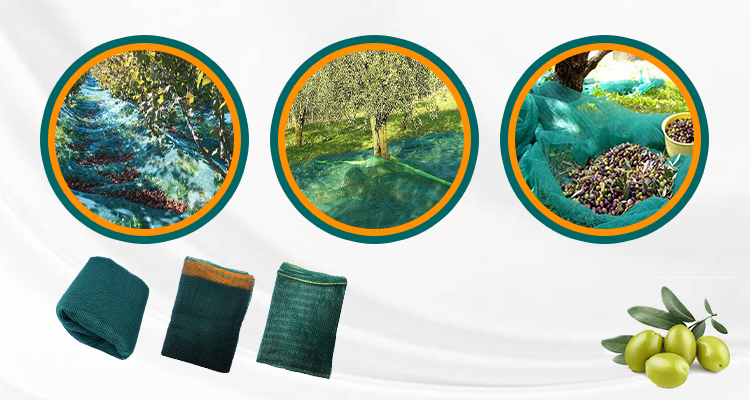 olive net supplies אספקת רשת זיתים