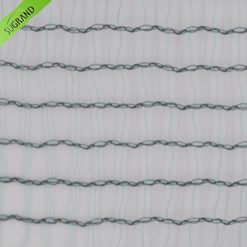 31gsm HDPE ירוק/שחור רשת נגד ברד