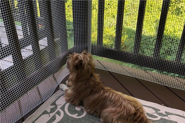 חיות מחמד גידור רשת פלסטיק