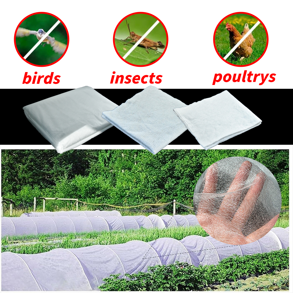 חקלאות פוליפרופילן לא ארוגה בחקלאות לא ארוגה בחממה