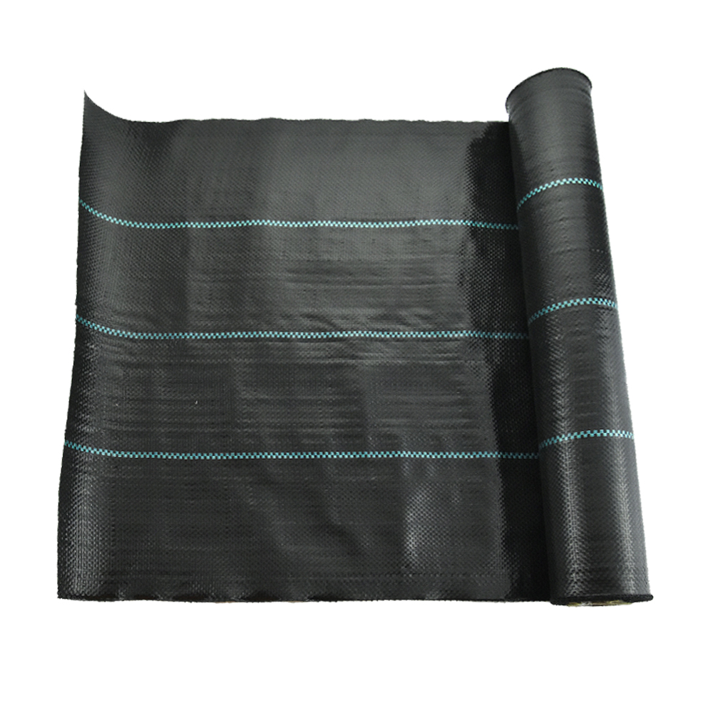 צמחיית שליטה שחורה צמחיית שטח שטח הגנה על כיסוי קרקע צמיחה צמחית