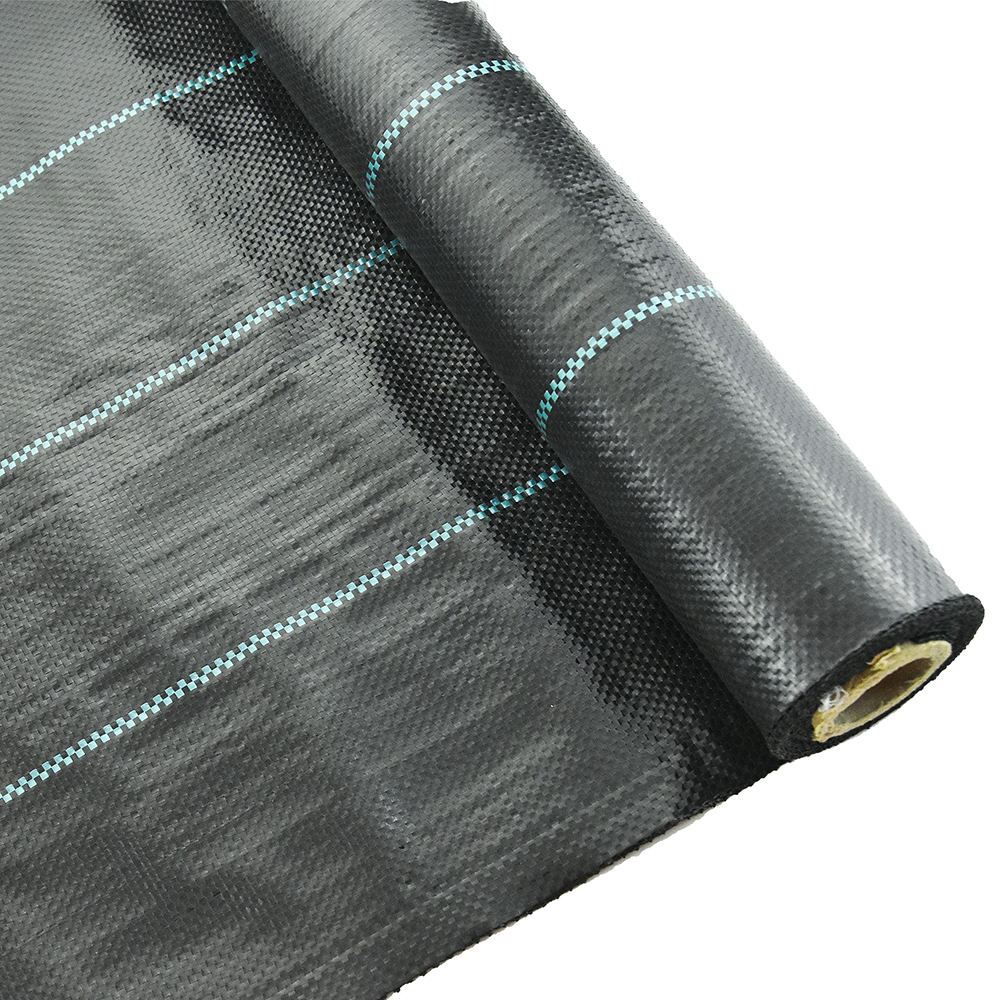 צמחיית שליטה שחורה צמחיית שטח שטח הגנה על כיסוי קרקע צמיחה צמחית