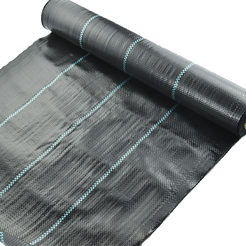 צמחיית שליטה שחורה צמחיית שטח שטח הגנה על כיסוי קרקע צמיחה צמחית