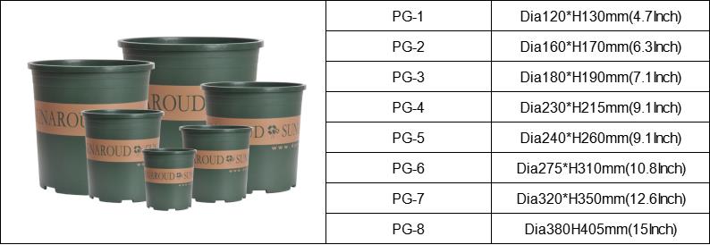 עציץ צמח עסיסי