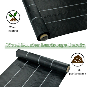 צמחיית שליטה שחורה צמחיית שטח שטח הגנה על כיסוי קרקע צמיחה צמחית