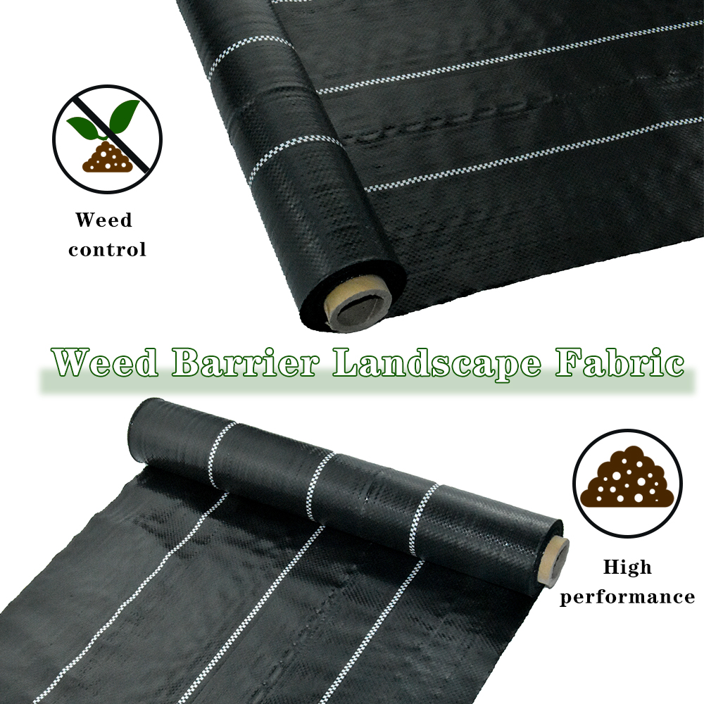 בד כיסוי קרקע