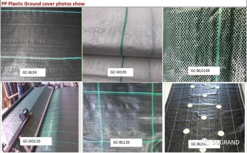 חיפוי קרקע 2