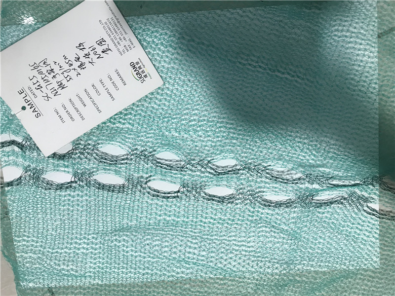 רשת פיגומים-55 G (1)