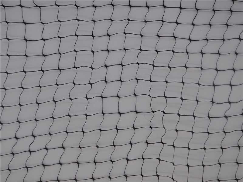 מכירה מקוונת של תמיכה במפעל שחור