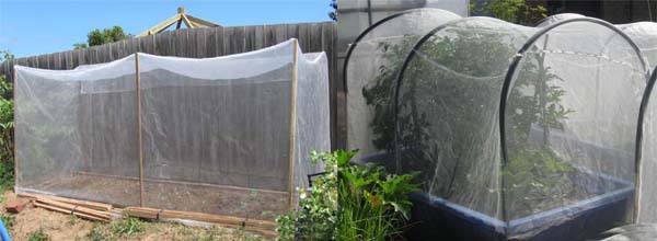 רשת נגד חרקים