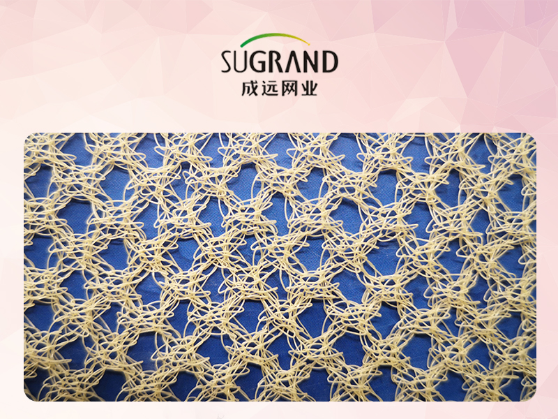 רשת זיתים בגודל 56 גרם חול צהוב