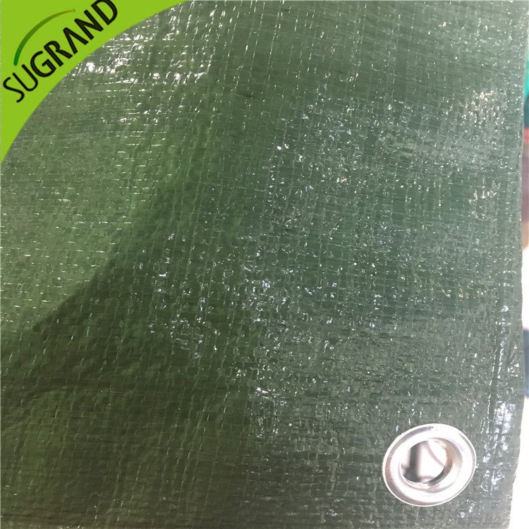 כיסוי קרקע ירוק של 150 ג'יגה