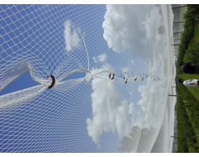 מהי המשמעות של רשת ציפורים בהעלאת יבולים?