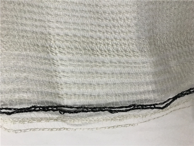 5 שנים מבטיחות רשת בטיחות פיגום בז '