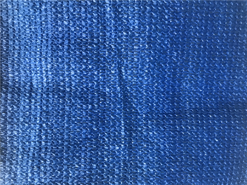 רשת גוון כחול-135 גרם (4)