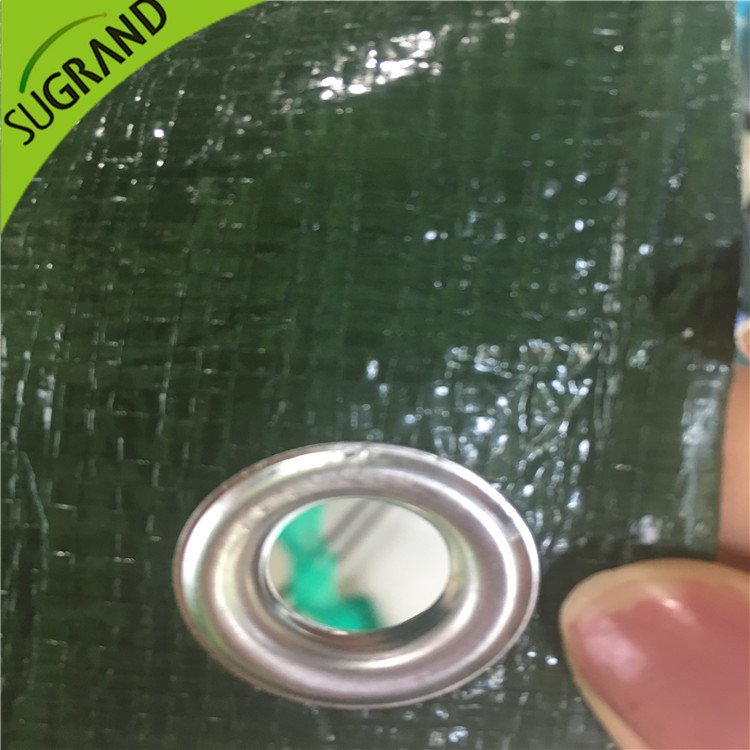 כיסוי קרקע ירוק של 150 ג'יגה