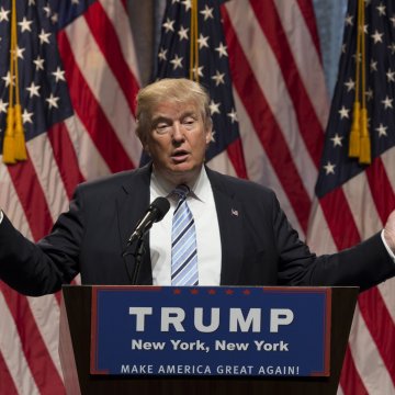 רשת תמיכה לצמח